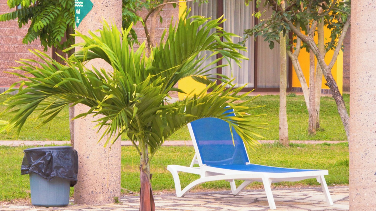 Photo of Outdoor in Tamasopo