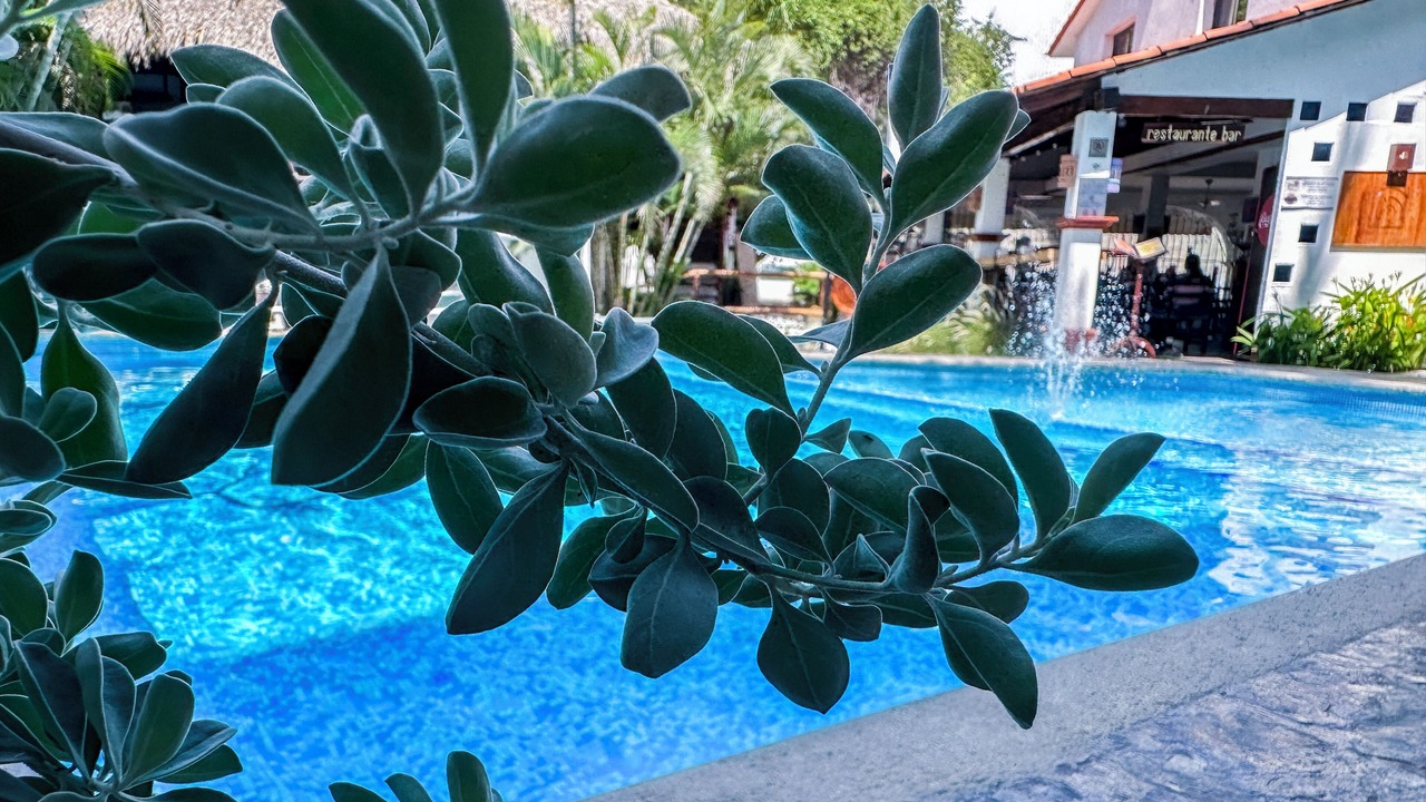Photo of Outdoor in R