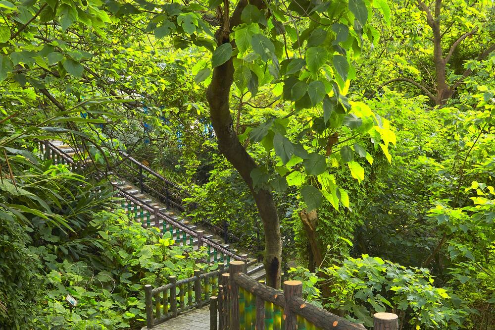 Photo of Others in Zhongshan