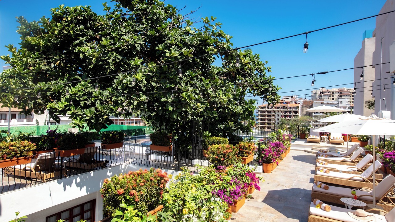 Photo of Outdoor in Romantic Zone