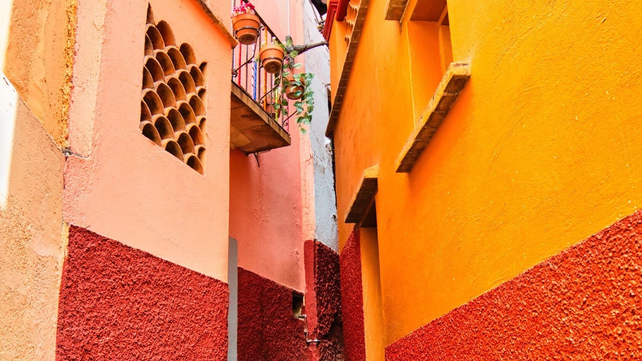 Photo of Others in Guanajuato