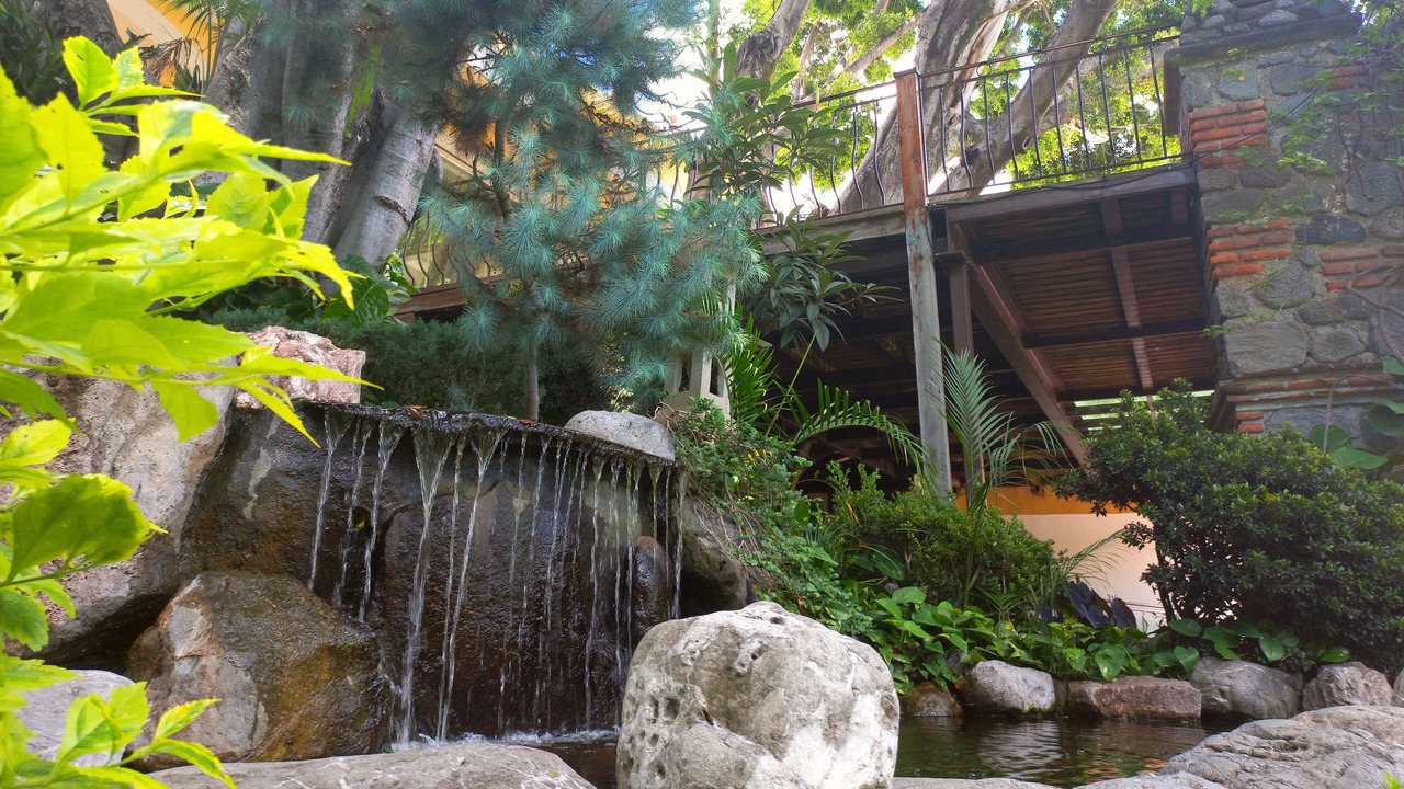 Photo of Outdoor in Acapantzingo