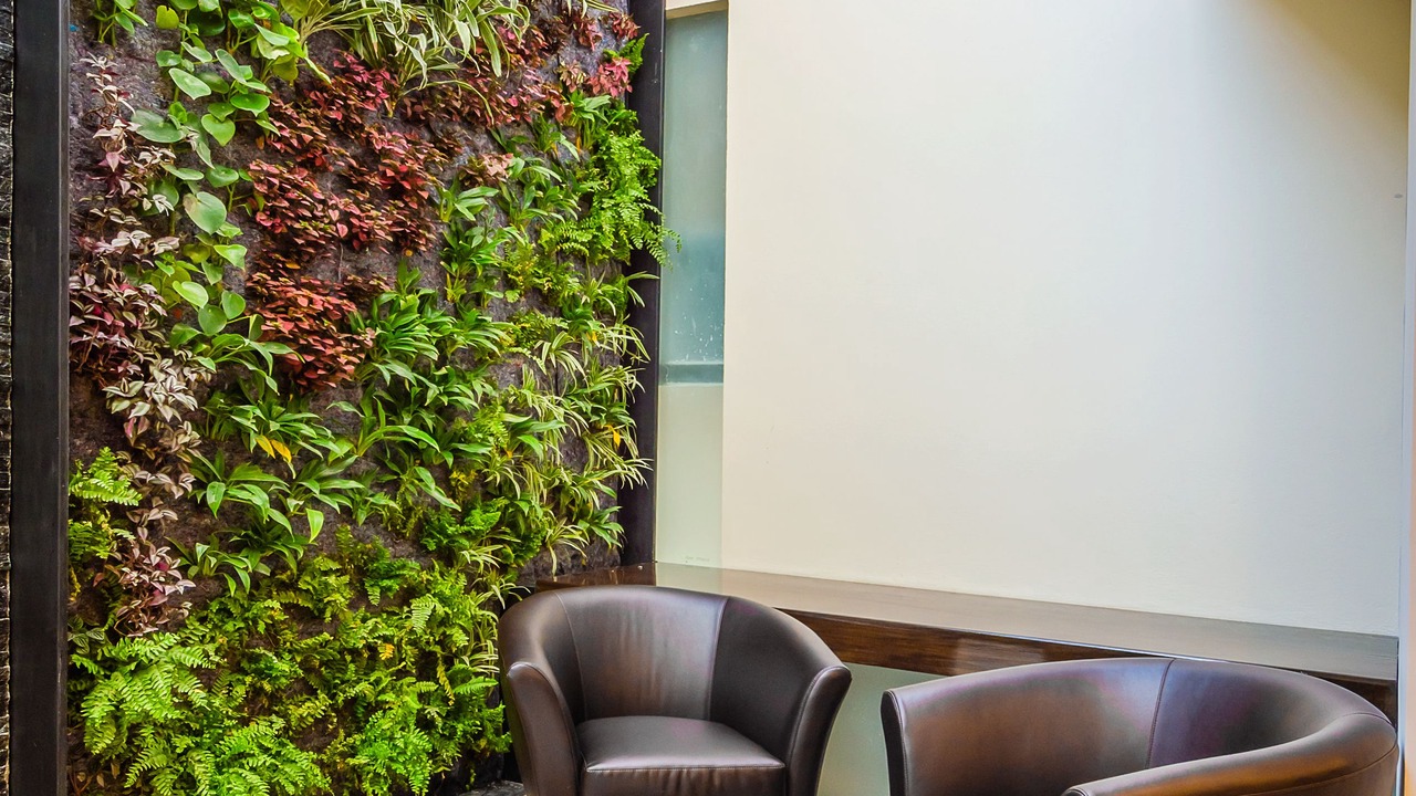 Photo of Others in Centro de la Ciudad