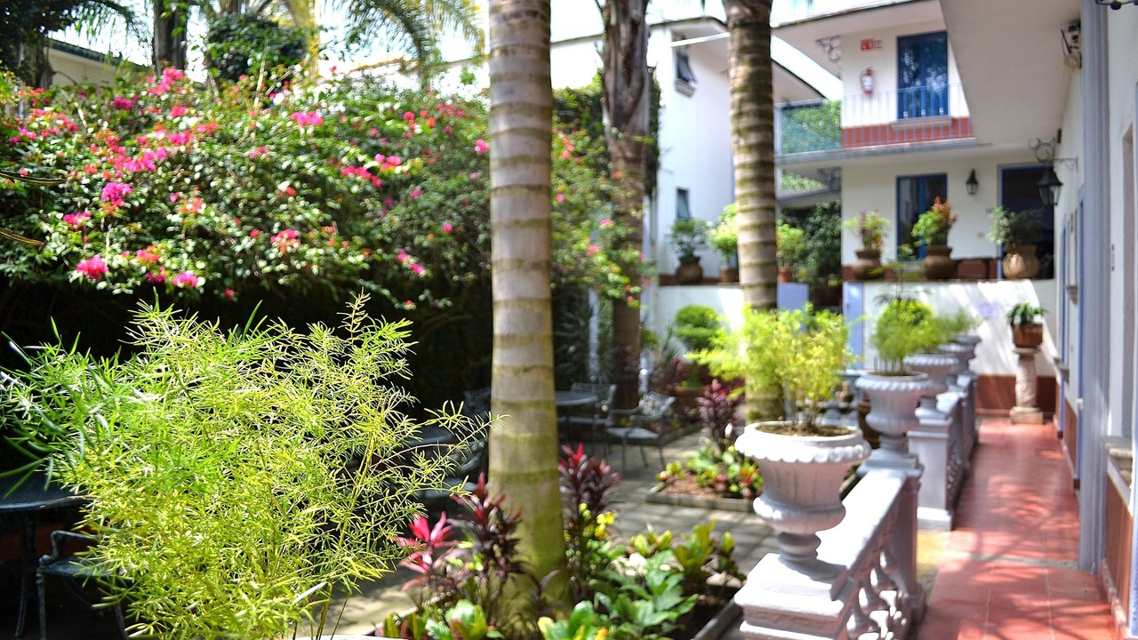 Photo of Others in Xalapa