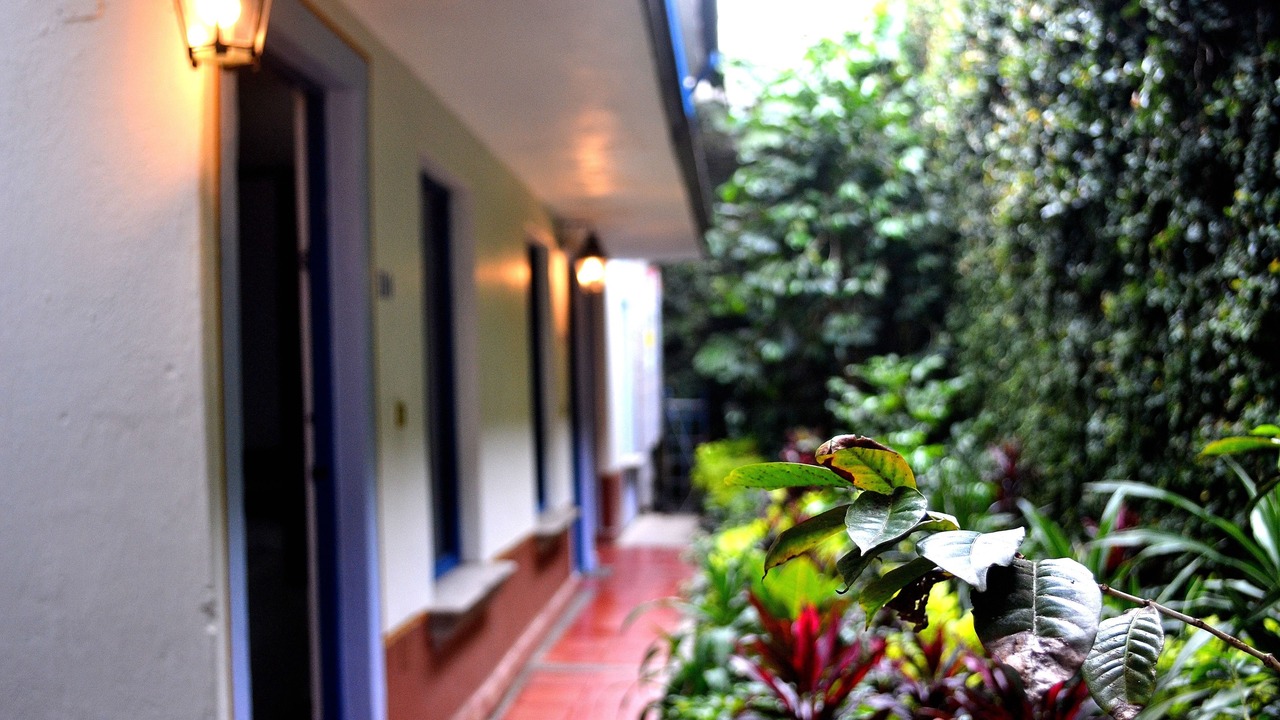 Photo of Others in Xalapa