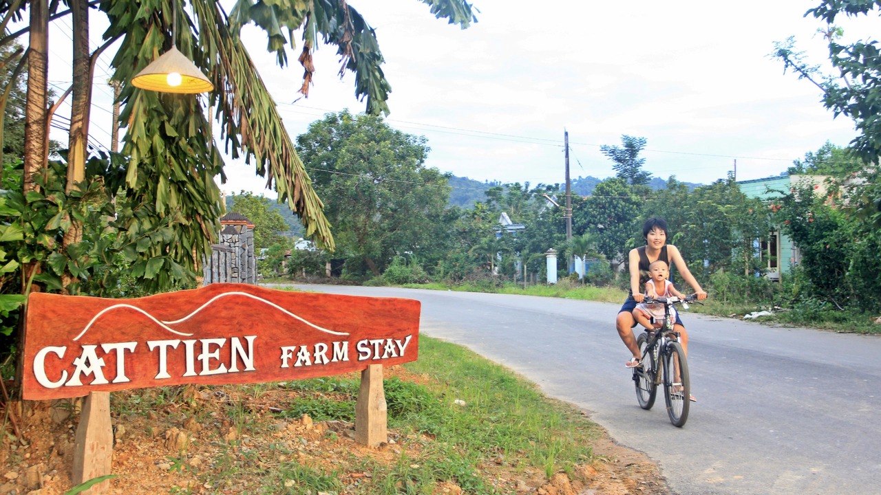 Photo of Others in Quan Tom