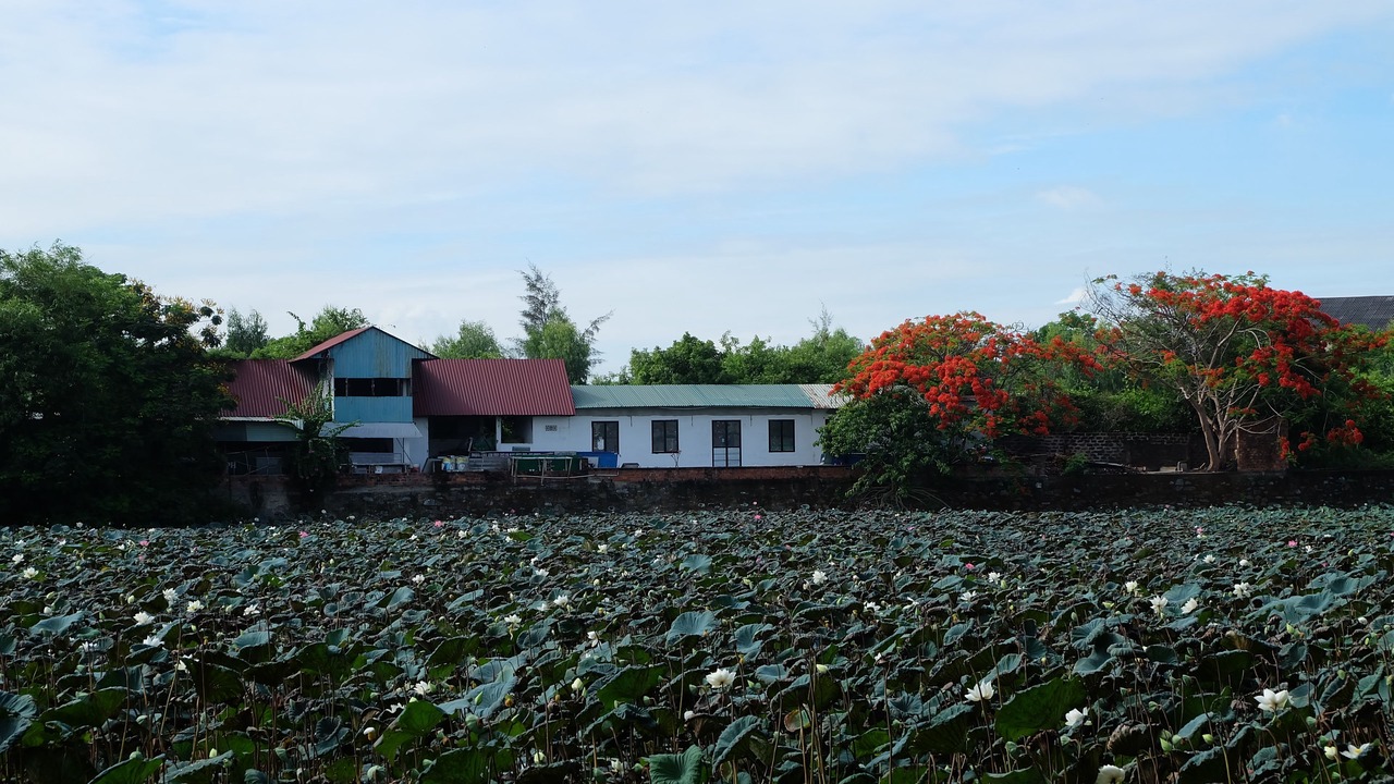 Photo of Outdoor in Thanh Khe