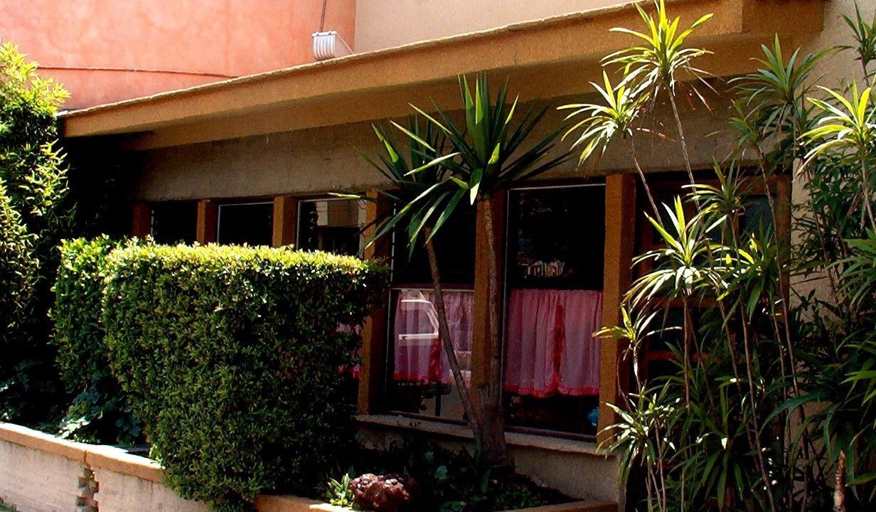 Photo of Outdoor in Apizaco