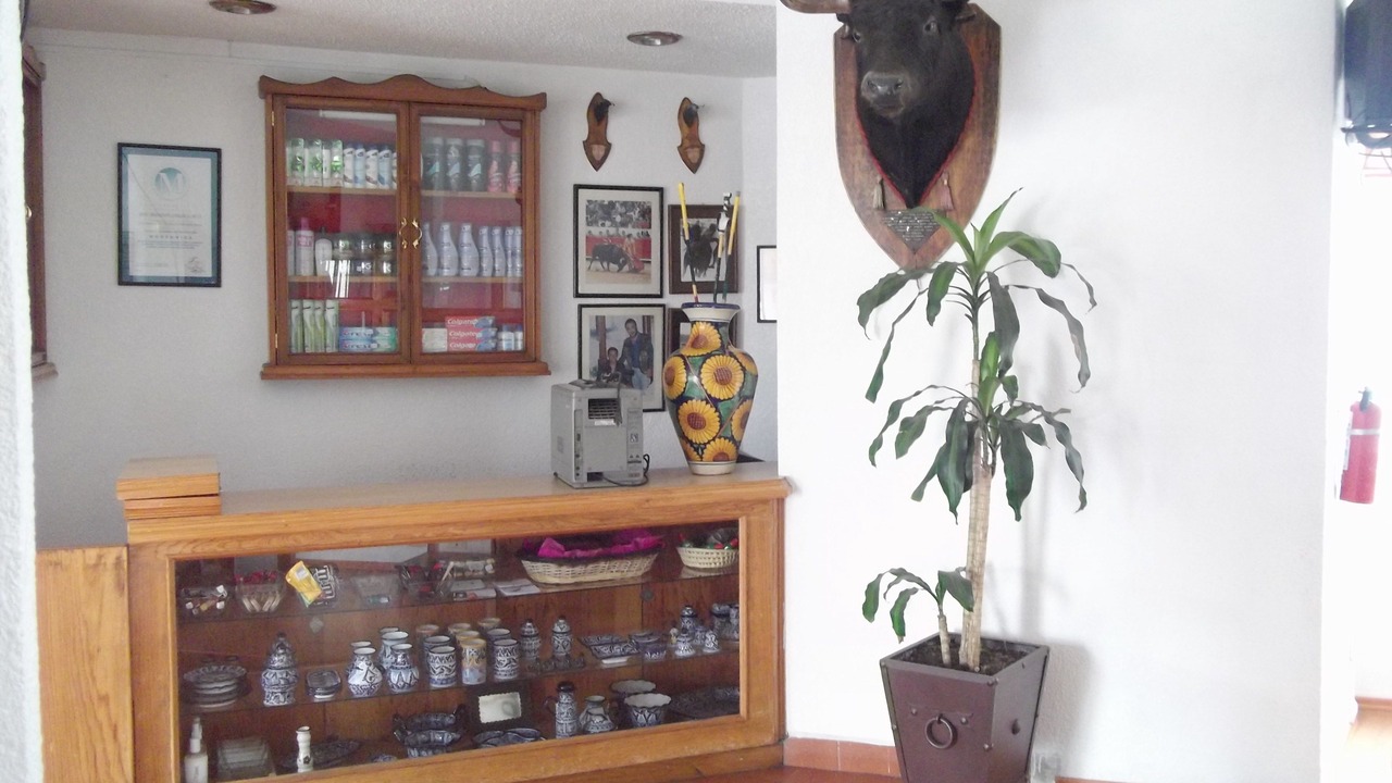 Photo of Others in Apizaco