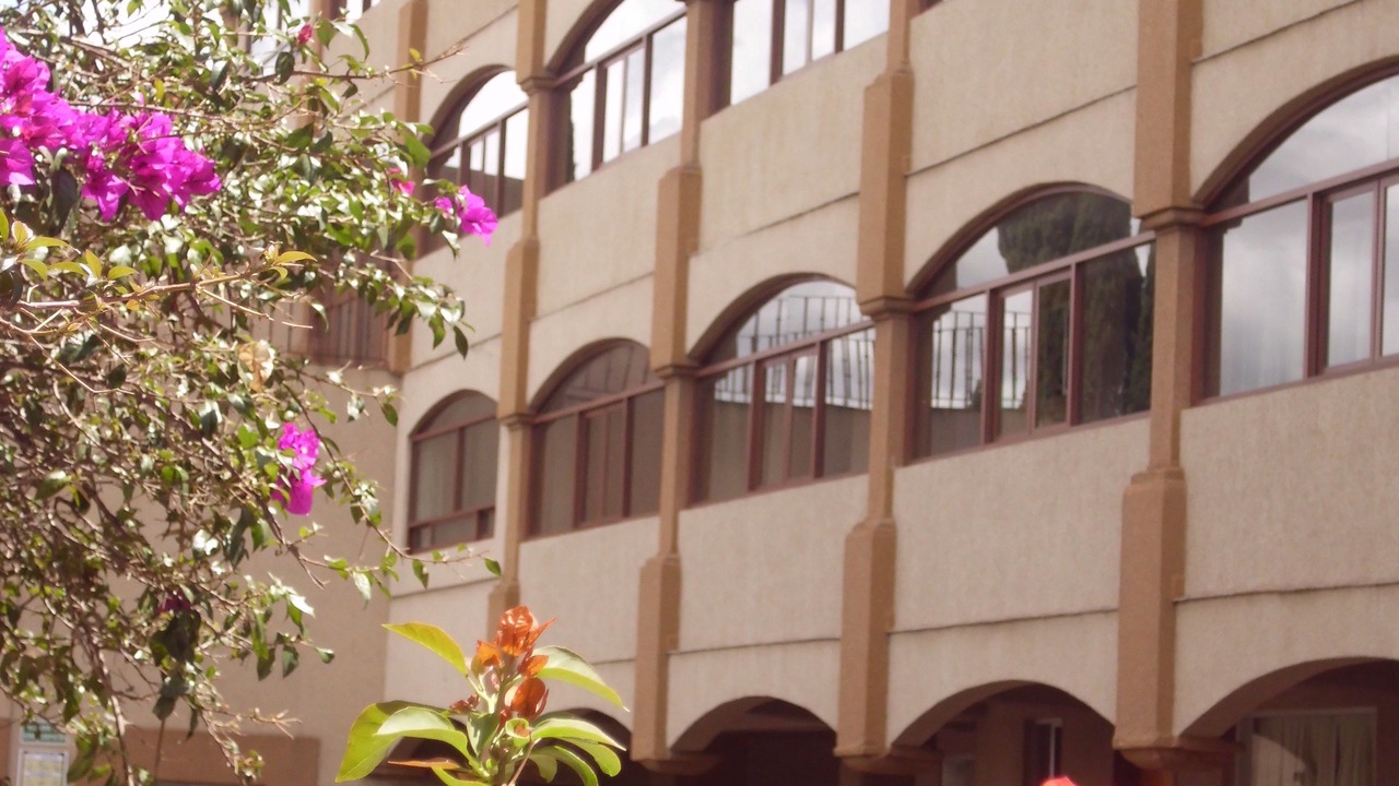 Photo of Outdoor in Apizaco