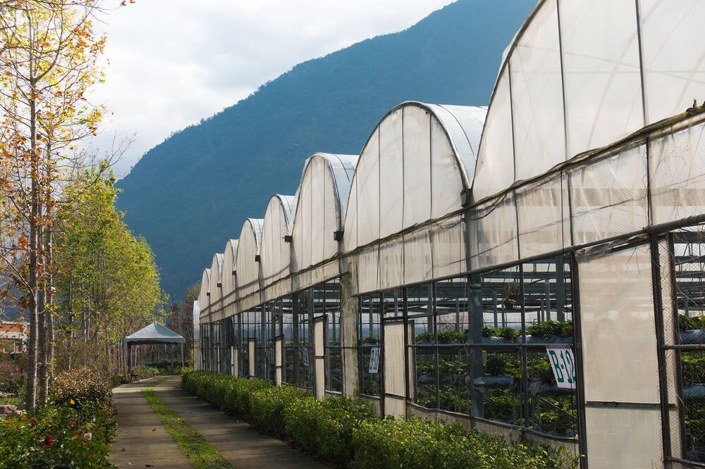 Photo of Outdoor in Puli