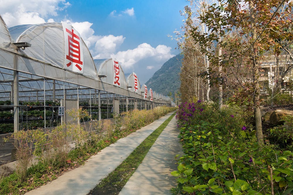 Photo of Outdoor in Puli