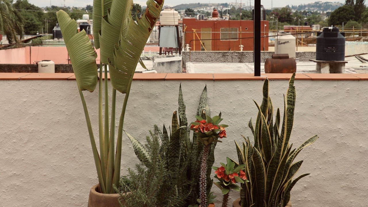 Photo of Patio Balcony in Guadalajara