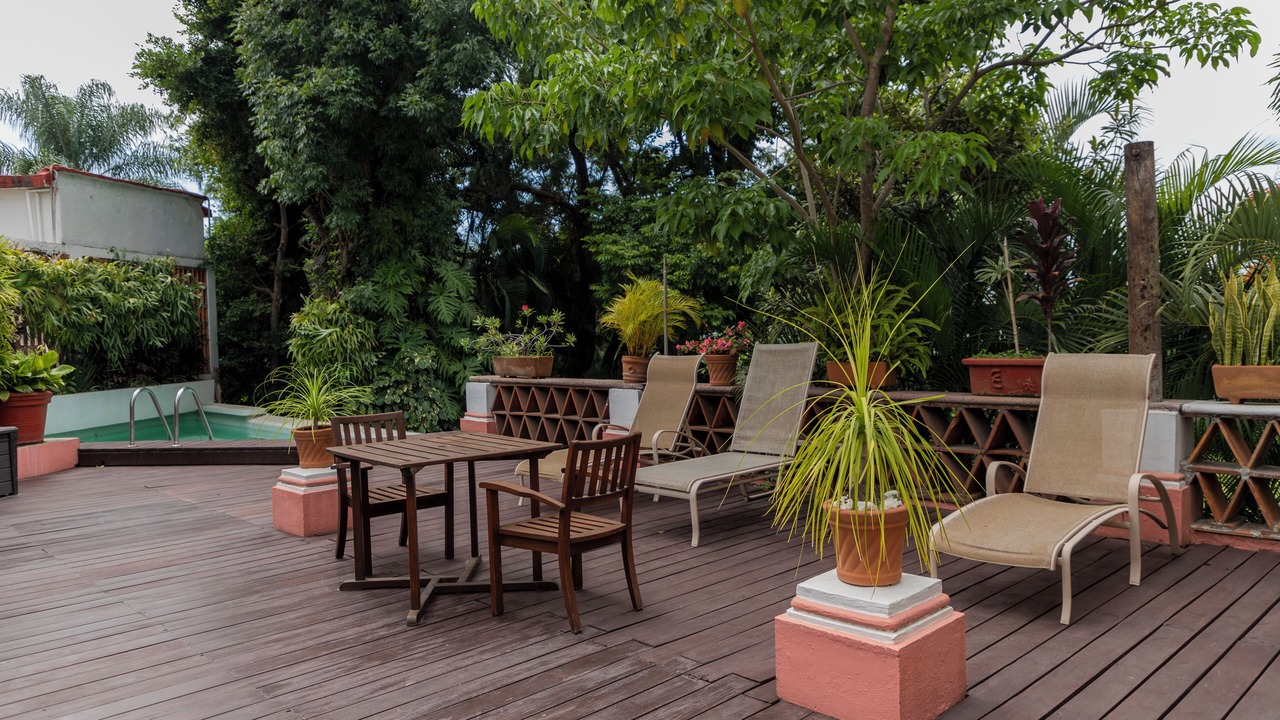 Photo of Outdoor in Central Cuernavaca