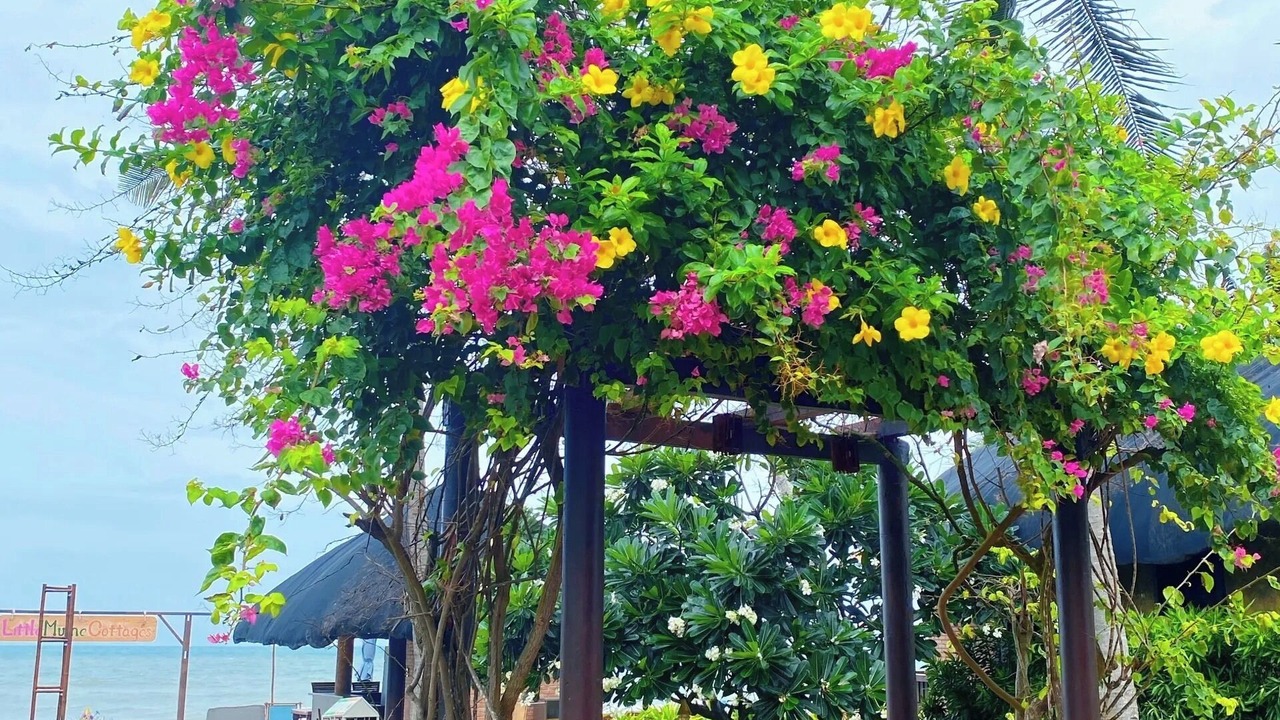 Photo of Outdoor in East Ham Tien Beach