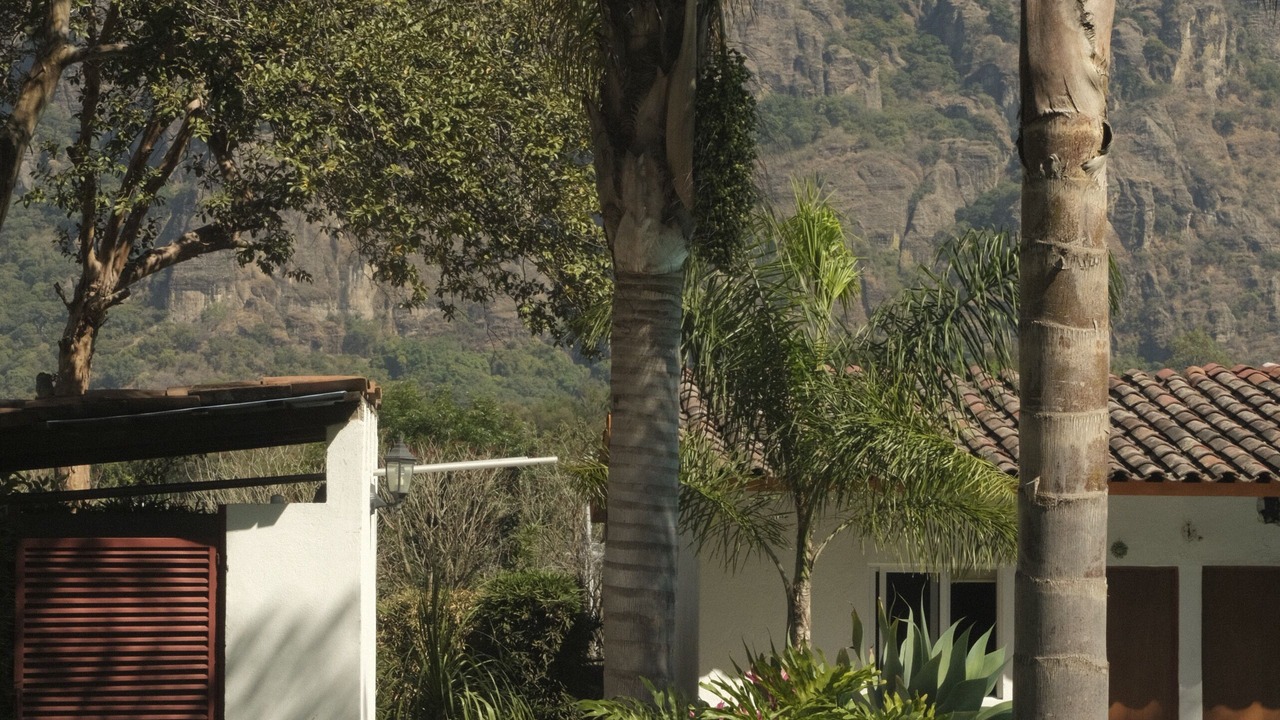 Photo of Outdoor in Tepoztlan