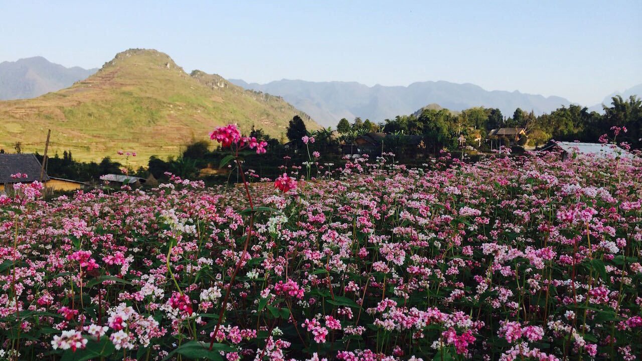 Photo of Outdoor in Quan Ba