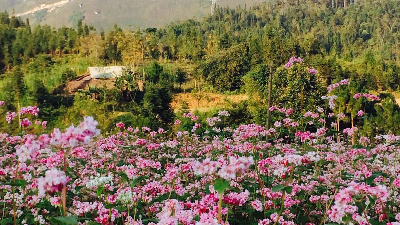 Photo of Outdoor in Quan Ba