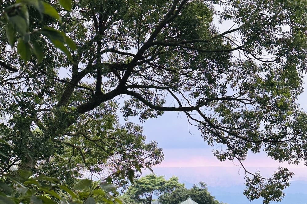 Photo of Outdoor in Taiping District