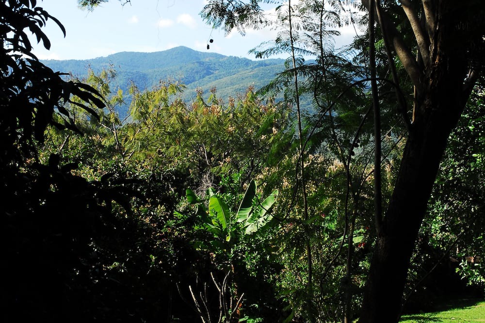 Photo of Others in Malinalco