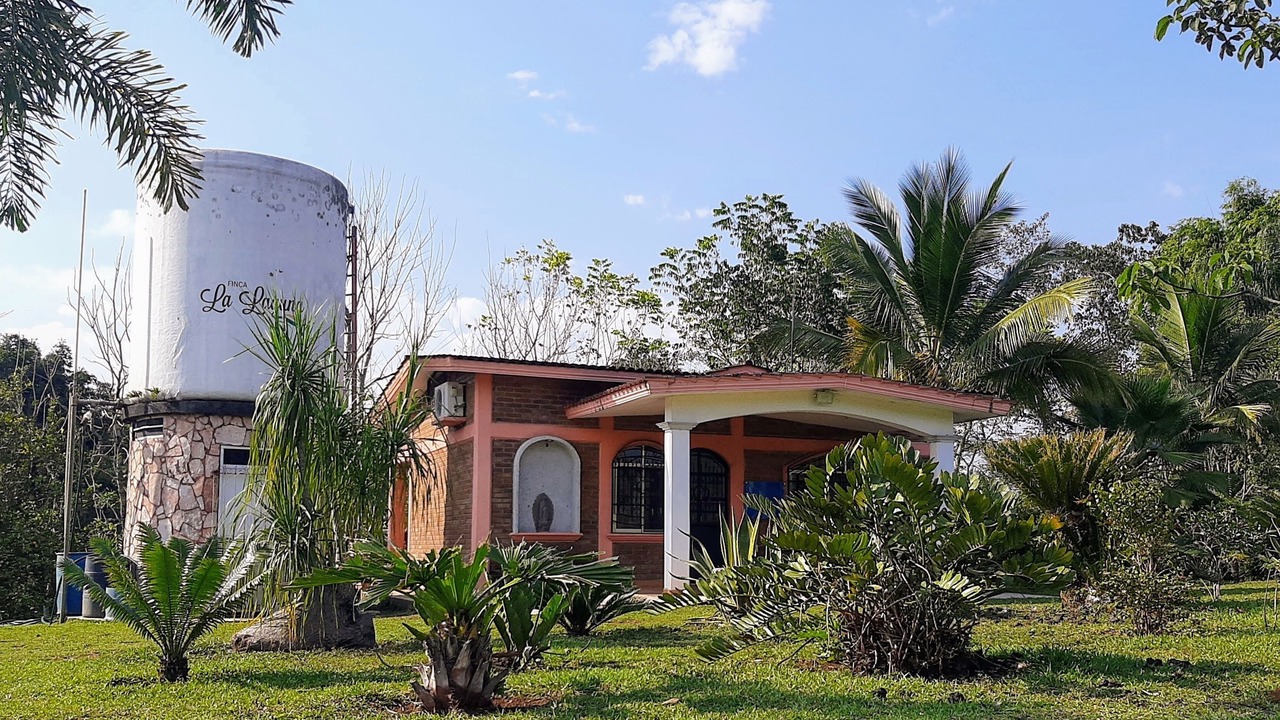 Photo of Outdoor in Cordoba