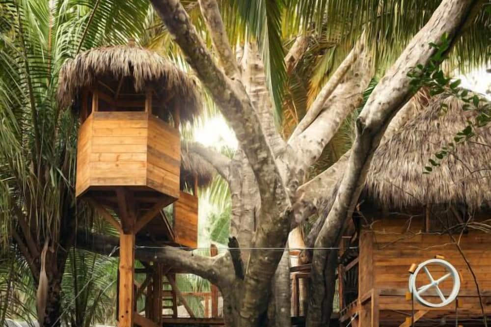 Photo of Outdoor in Lo de Marcos