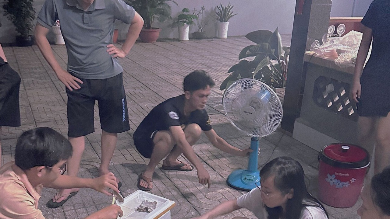 Photo of Outdoor in Long Hai