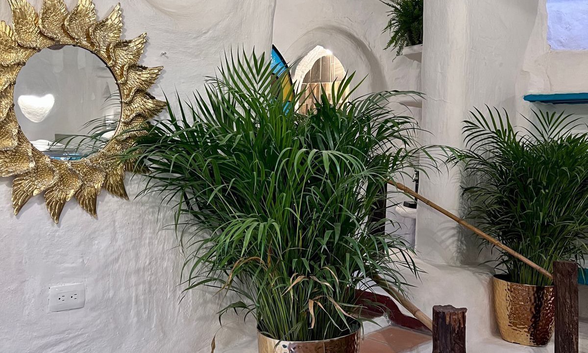 Photo of Livingroom in Santa Cecilia