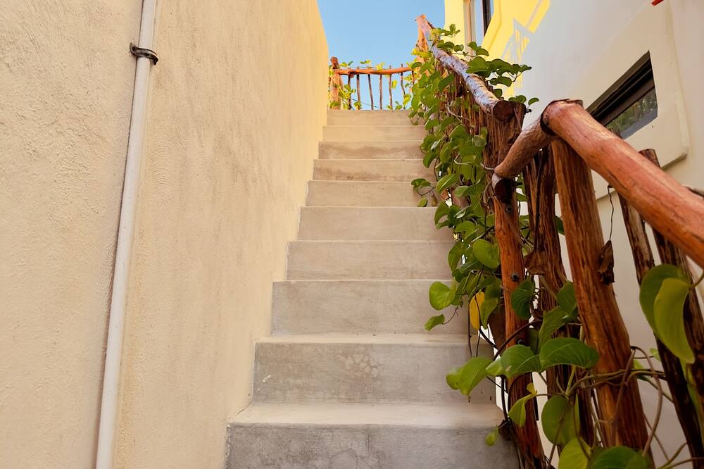 Photo of Outdoor in Sisal