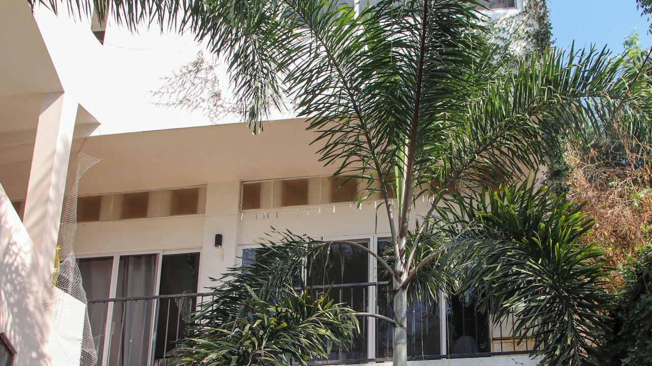 Photo of Outdoor in Chacala