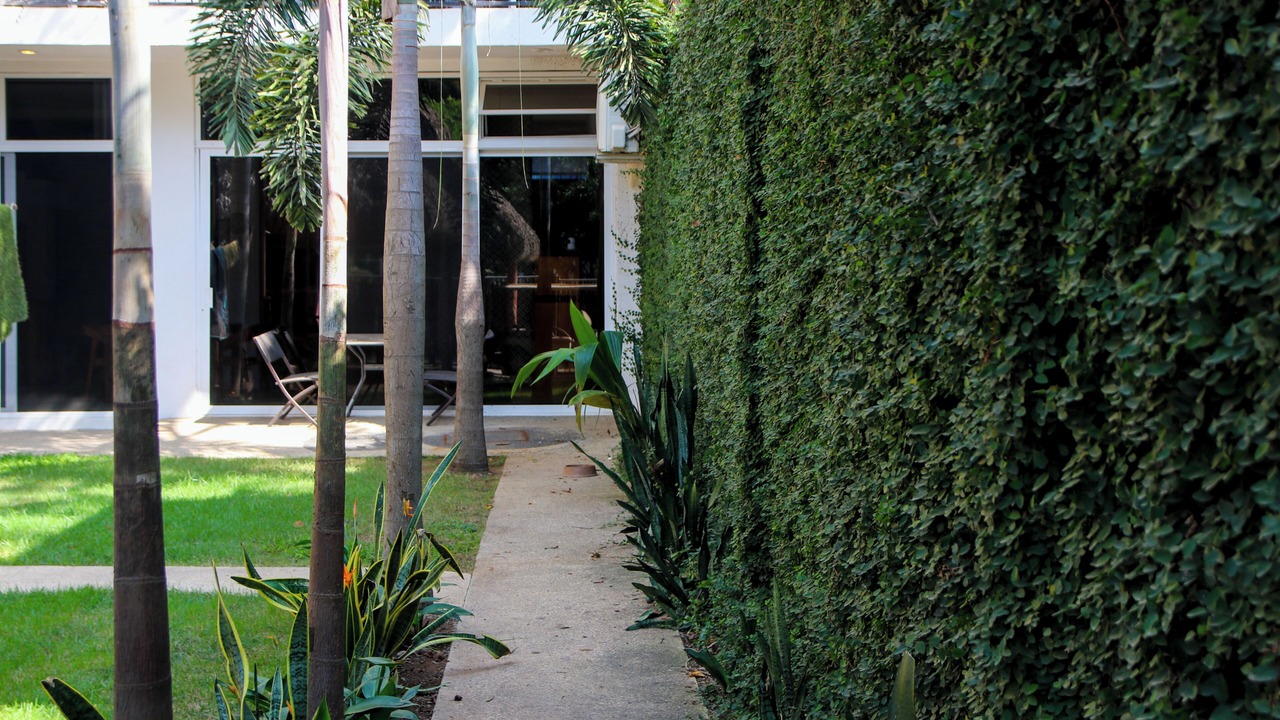 Photo of Outdoor in Chacala