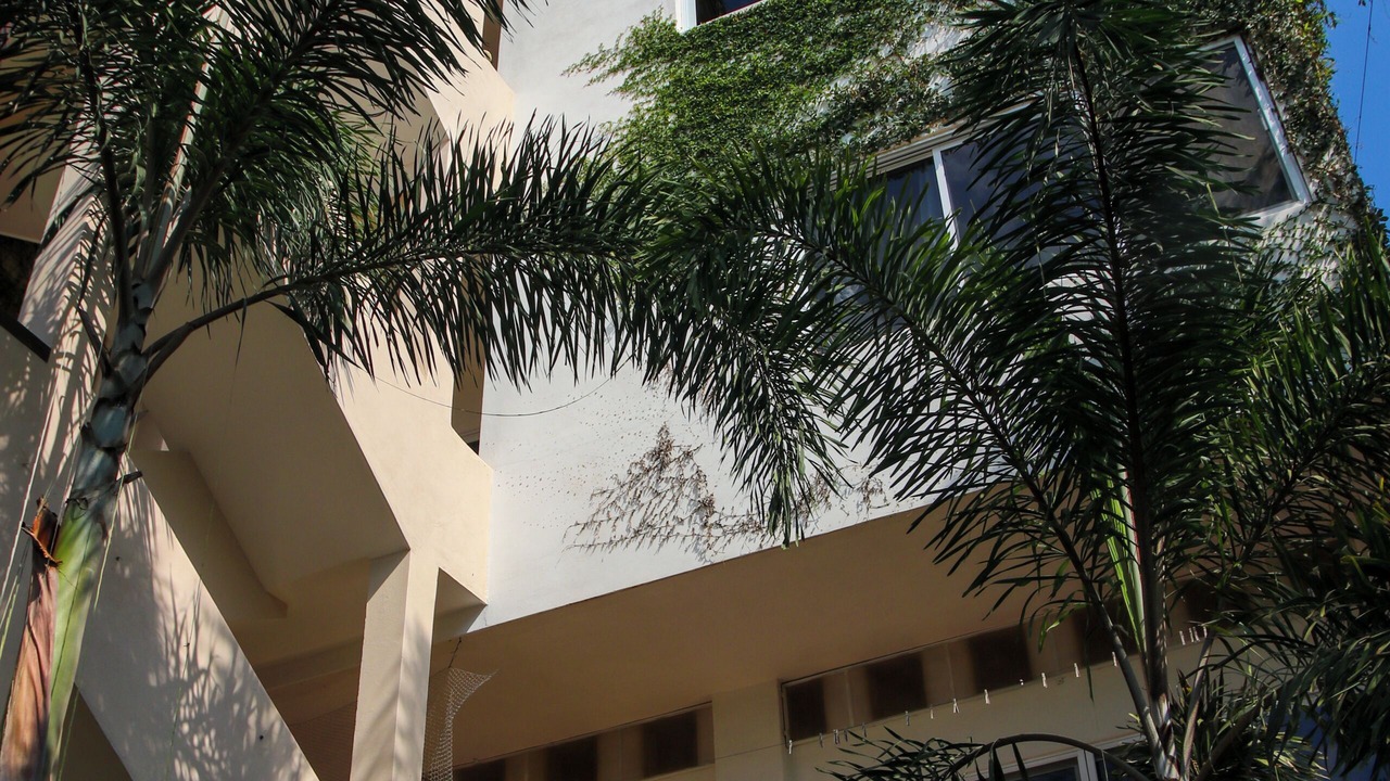 Photo of Outdoor in Chacala