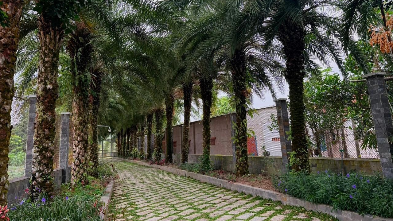 Photo of Outdoor in Cu Chi