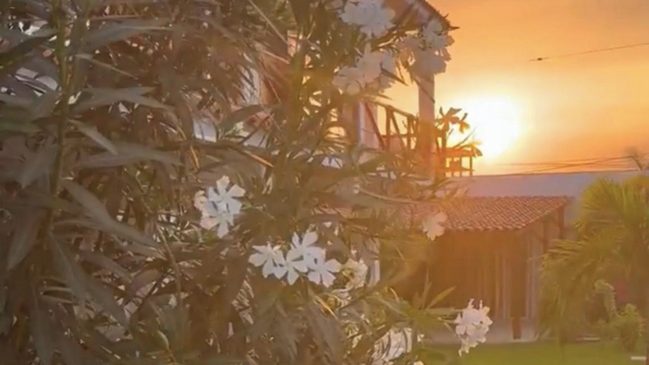 Photo of Outdoor in Playa Diamante