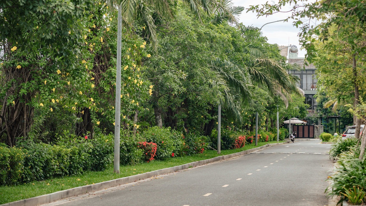 Photo of Others in Cam Thanh