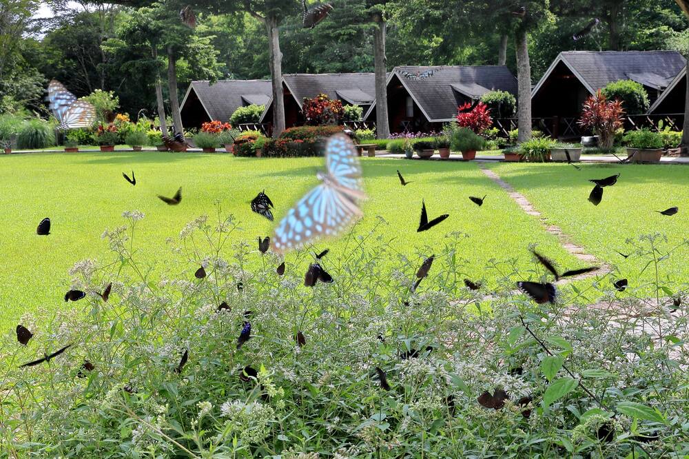 Photo of Outdoor in Dapu