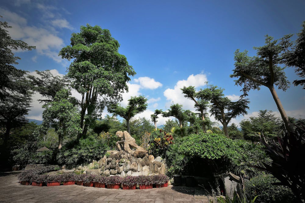 Photo of Outdoor in Dapu