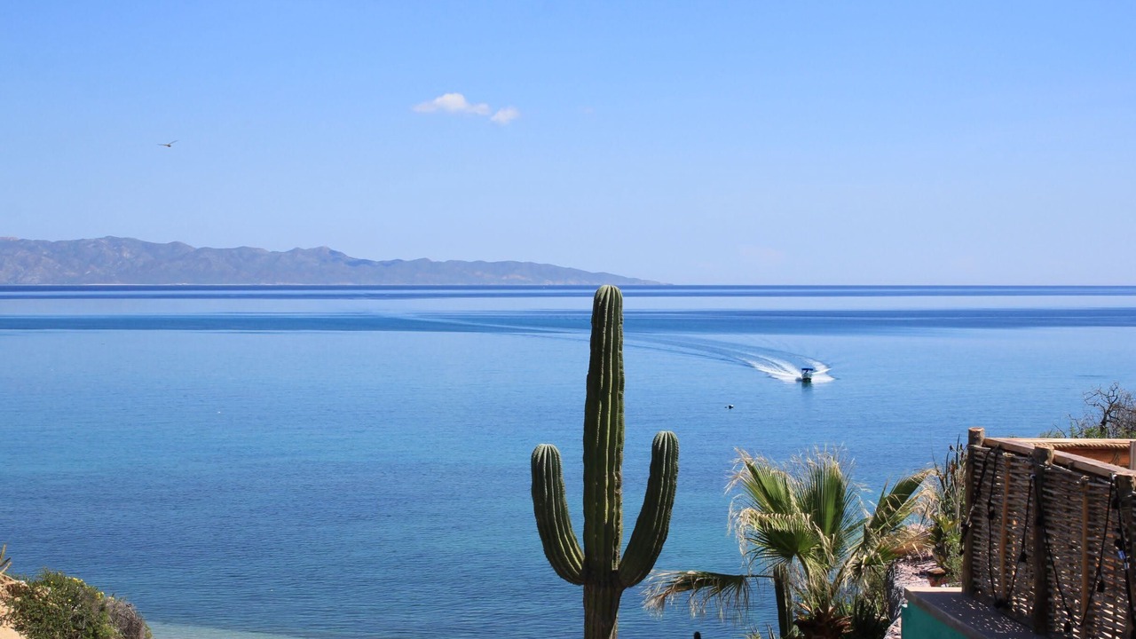 Photo of Others in La Ventana
