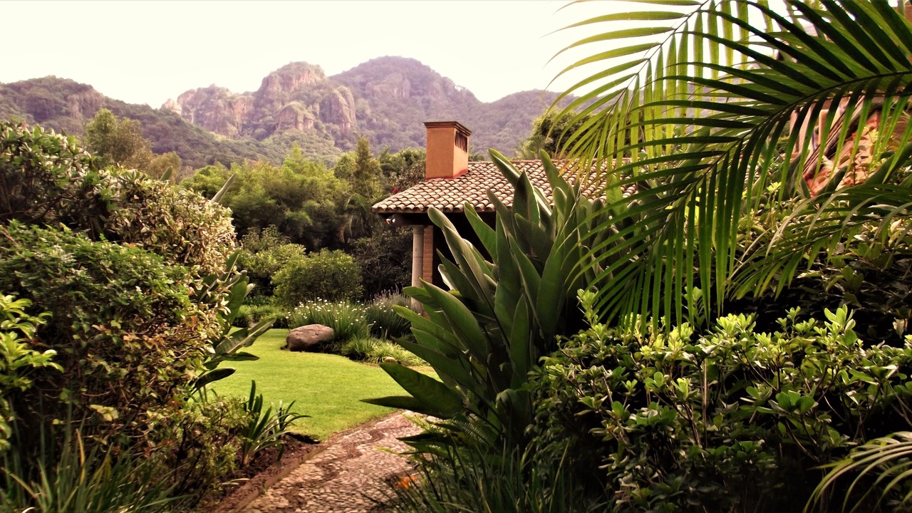 Photo of Outdoor in Santa Cecilia