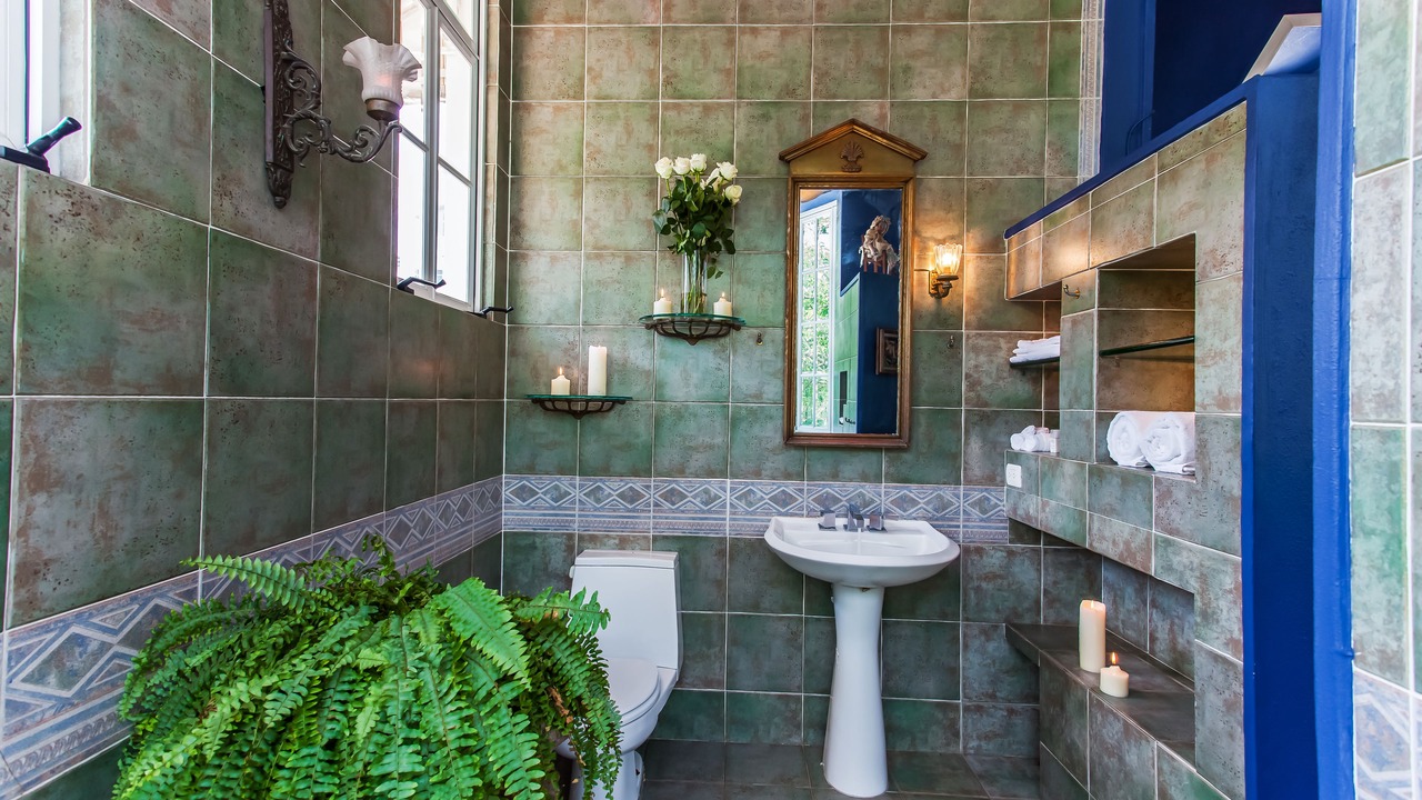 Photo of Bathroom in Emiliano Zapata