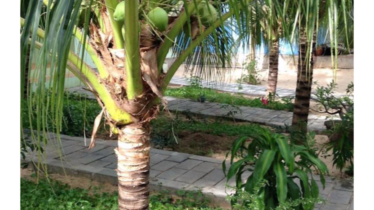 Photo of Outdoor in Central Mui Ne Beach