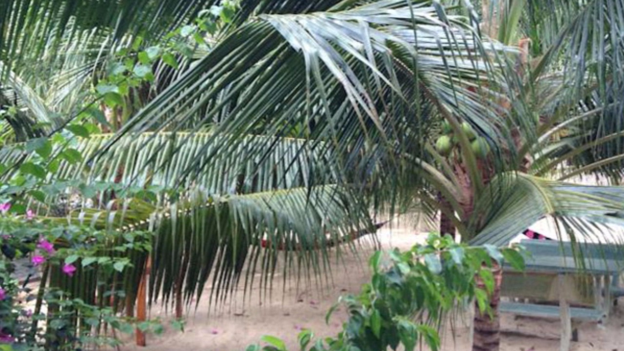 Photo of Outdoor in Central Mui Ne Beach
