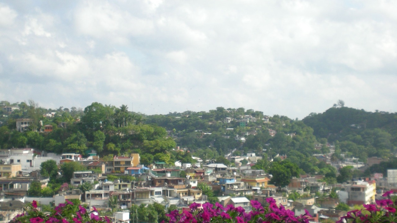 Photo of Others in Papantla de Olarte