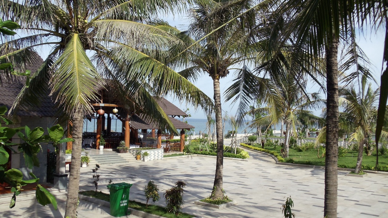 Photo of Others in Tan Loc