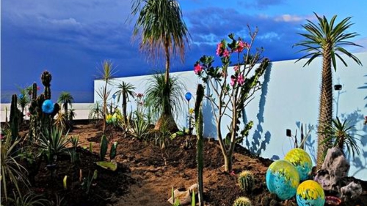 Photo of Outdoor in Isla Navidad