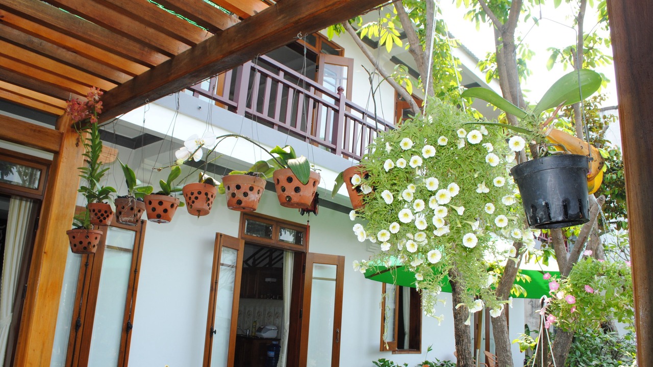 Photo of Outdoor in Cam Chau