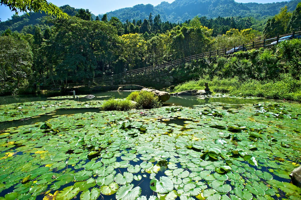 Photo of Outdoor in Jianshi
