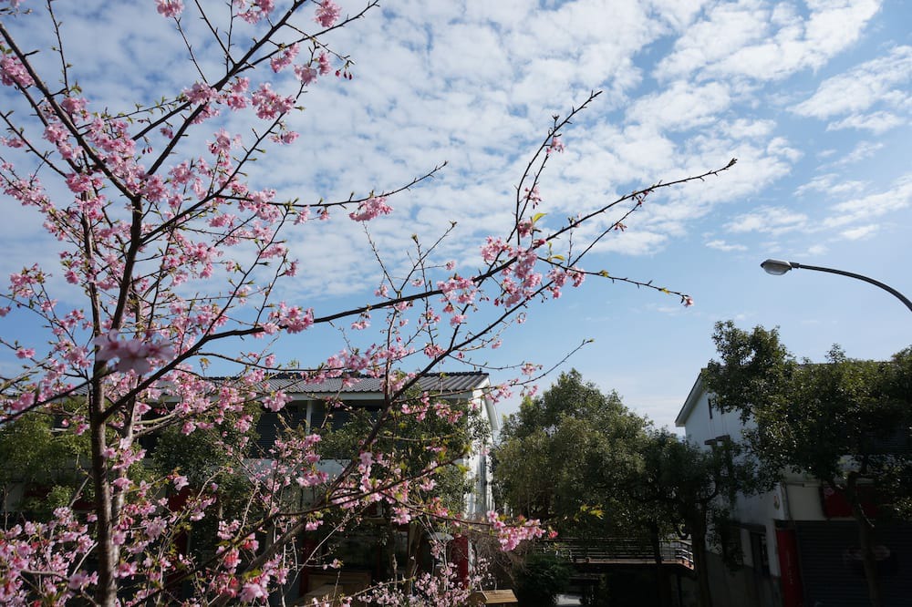 Photo of Outdoor in Sanyi