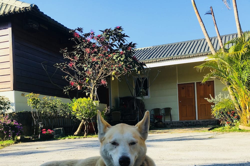 Photo of Outdoor in Chiayi