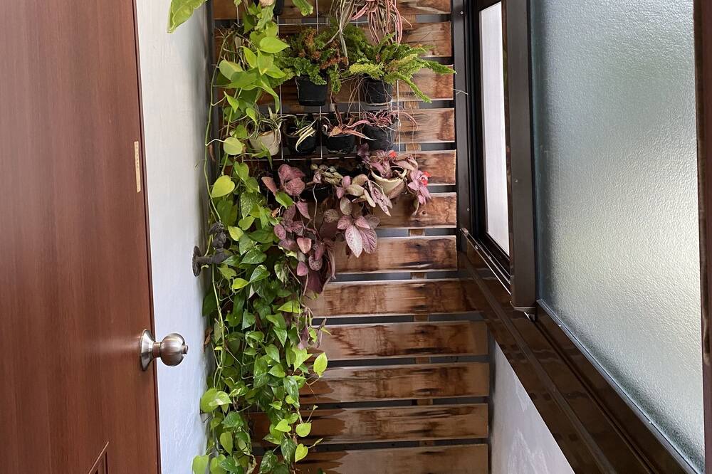 Photo of Patio Balcony in Annan District